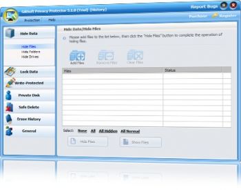 скриншот Gilisoft Privacy Protector