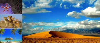 скриншот Webshots