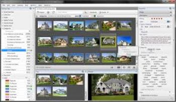 скриншот Daminion
