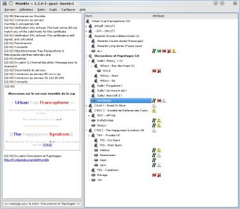 скриншот Mumble