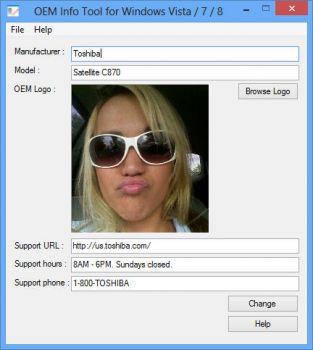 скриншот OEM Info Tool