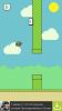 фотография Mr & Mrs Flappy - Flap Bird Flap