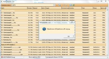 скриншот MvAudioInfo