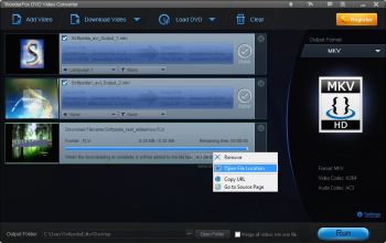 скриншот WonderFox DVD Video Converter