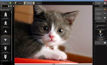 скриншот Slide Show App