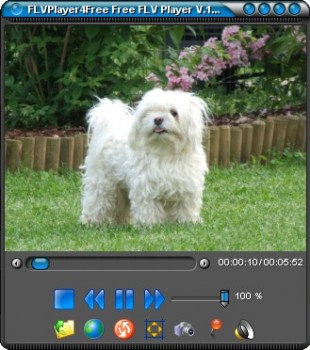 скриншот FLVPlayer4Free