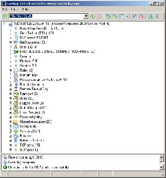 скриншот LanSpy