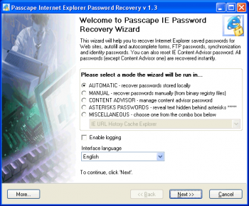 скриншот Internet Explorer Password Recovery