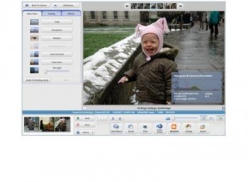 скриншот Picasa Photo Organizer