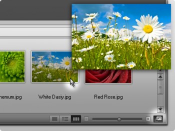 скриншот Firegraphic