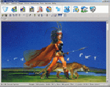 скриншот Amor Screen Capture