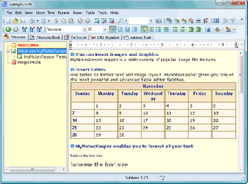 скриншот My Notes Keeper