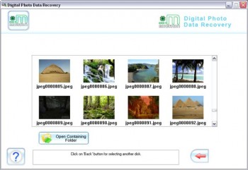 скриншот Digital Image Uneraser Software