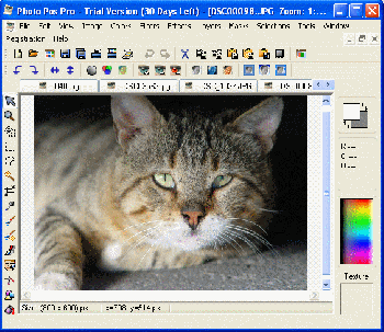 скриншот Photo Pos Pro