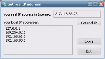 скриншот GetMyIP