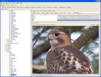 скриншот DB Solo