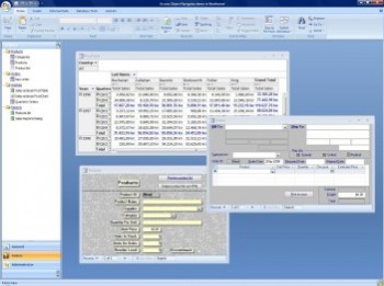 скриншот Access Object Navigator