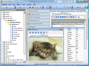 скриншот AnySQL Maestro