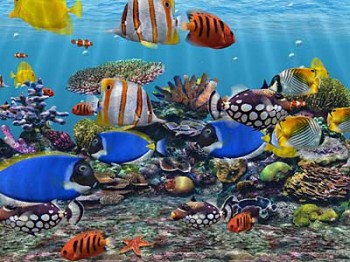 скриншот 3D Fish School Screensaver