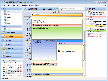 скриншот EssentialPIM Pro
