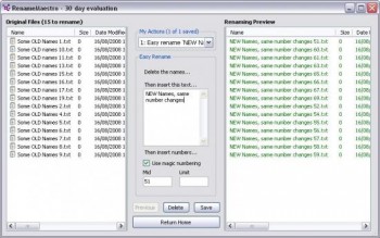 скриншот RenameMaestro