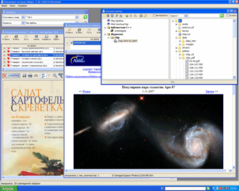скриншот Integra.Professional