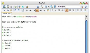 скриншот TinyPad