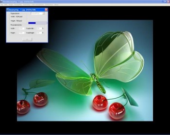 скриншот PhotoResampling