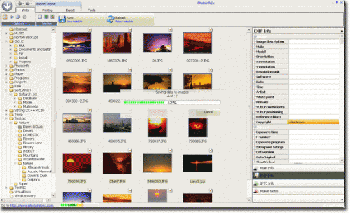 скриншот PhotoInfoEx