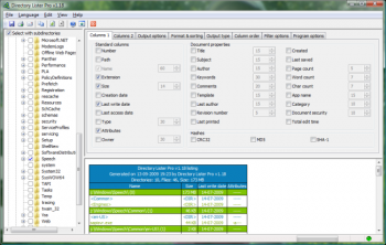 скриншот Directory Lister Pro