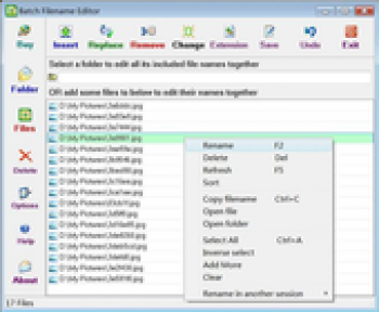 скриншот Batch Filename Editor