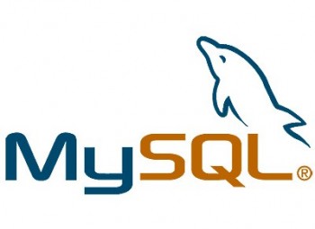 скриншот MySQL