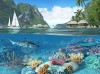 фотография Caribbean Islands 3D Screensaver 