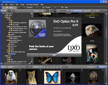 скриншот DxO Optics Pro 