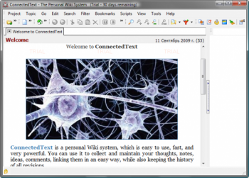скриншот ConnectedText