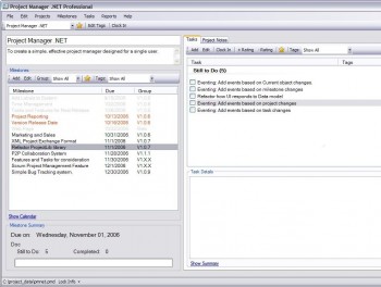скриншот Project Manager .NET Professional