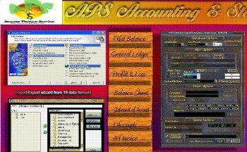 скриншот APS Accounting and Stock Control