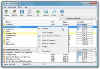 скриншот Disk Savvy