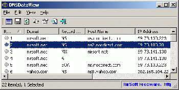 скриншот DNSDataView