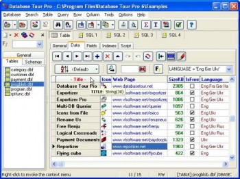 скриншот Database Tour Pro