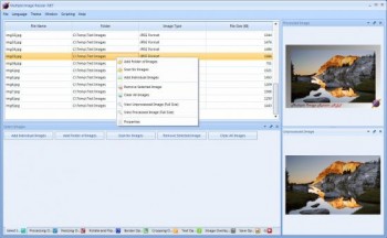 скриншот Multiple Image Resizer .NET