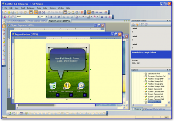 скриншот FullShot Screen Capture