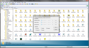 скриншот Explorer++