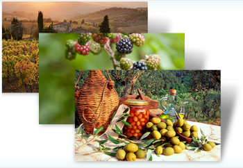 скриншот Harvest Time