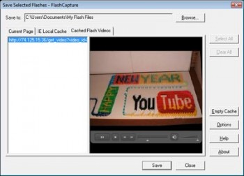 скриншот Flash Capture