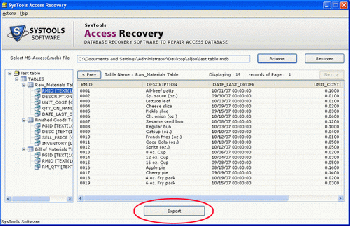 скриншот Access MDB Repair
