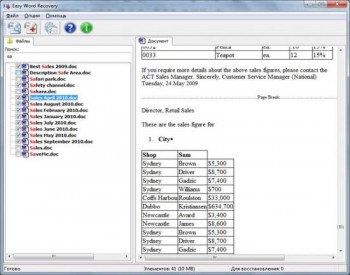скриншот Easy Word Recovery