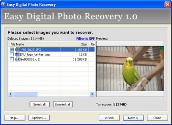 скриншот Easy Digital Photo Recovery