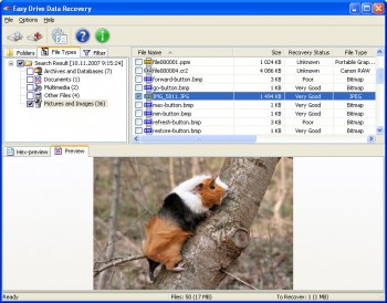 скриншот Easy Drive Data Recovery