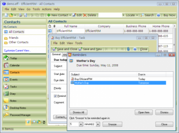 скриншот EfficientPIM Free